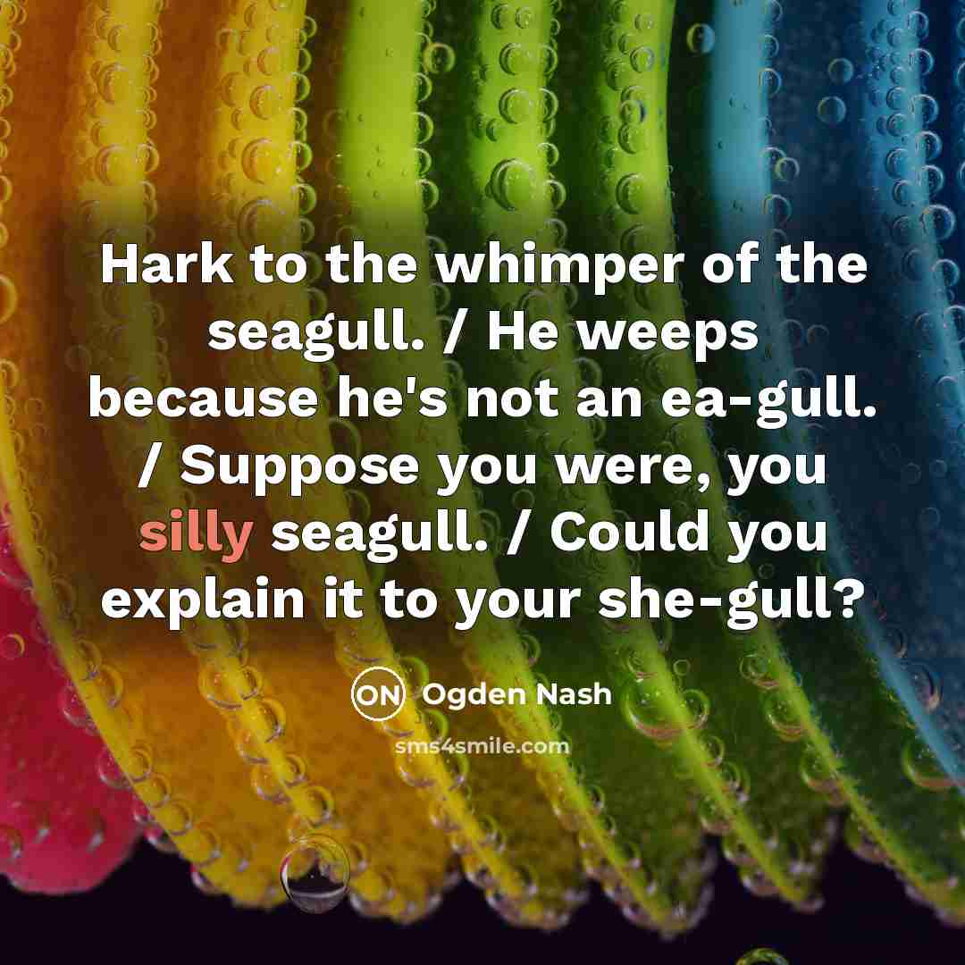 “Hark to the whimper of the seagull. / He weeps…” quote by Ogden Nash