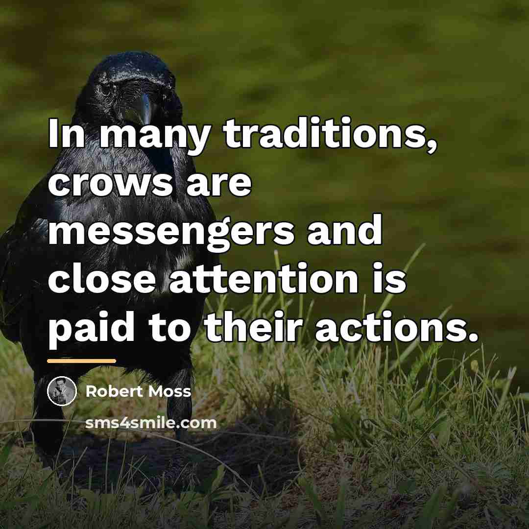 “In many traditions, crows are messengers and close attention is…” quote by Robert Moss