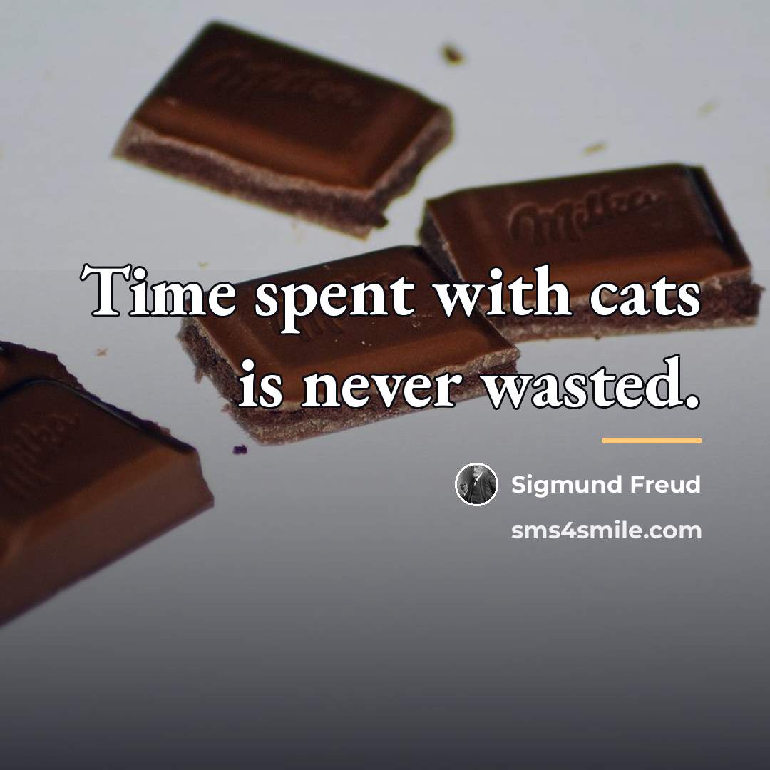 “Time spent with cats is never wasted.…” quote by Sigmund Freud
