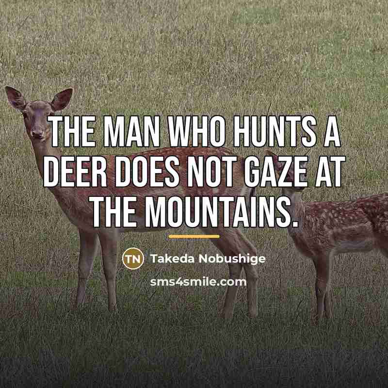 “The man who hunts a deer does not gaze at…” quote by Takeda Nobushige