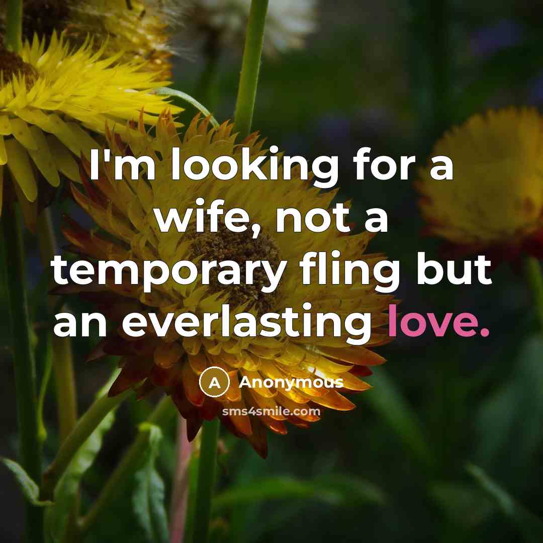 “I'm looking for a wife, not a temporary fling but…” quote by Anonymous