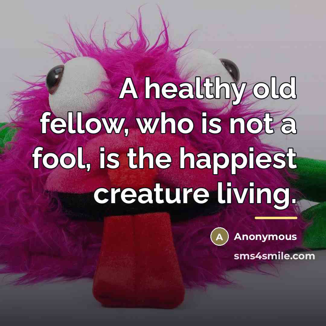 “A healthy old fellow, who is not a fool, is…” quote by Anonymous