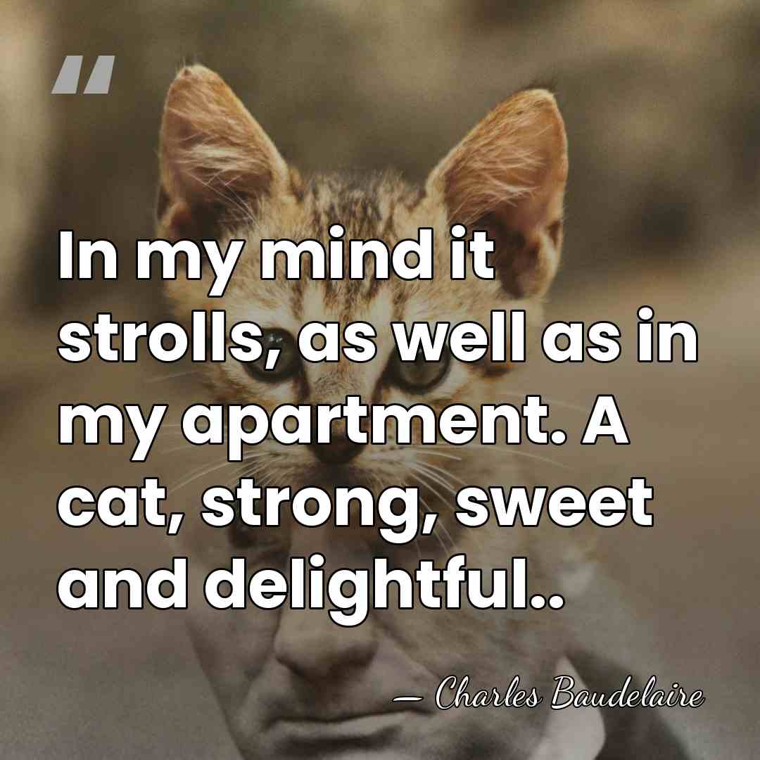 In my mind it strolls, as well as in my apartment. A&hellip; - Charles Baudelaire