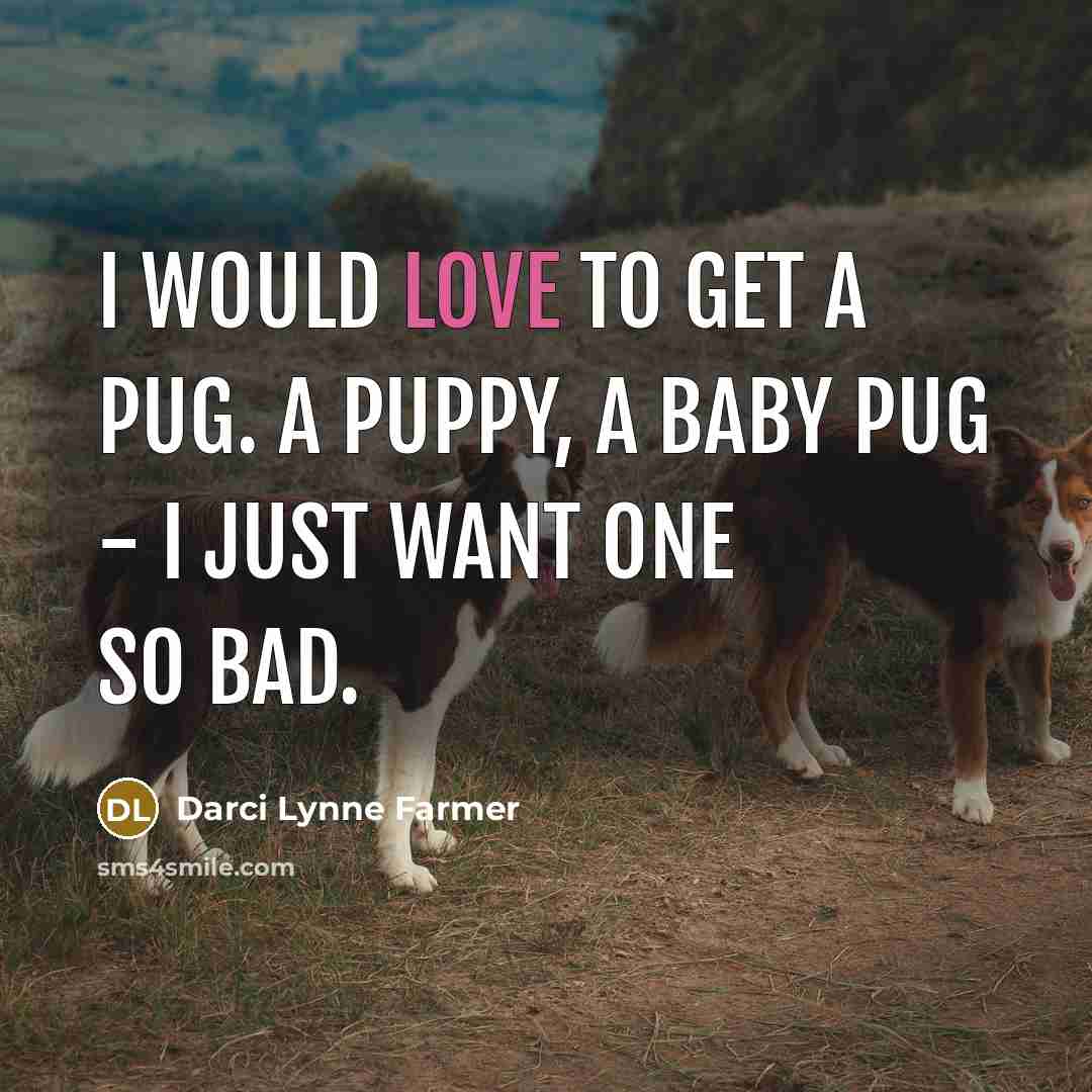 “I would love to get a pug. A puppy, a…” quote by Darci Lynne Farmer