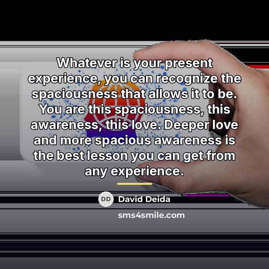 “Whatever is your present experience, you can recognize the spaciousness…” quote by David Deida