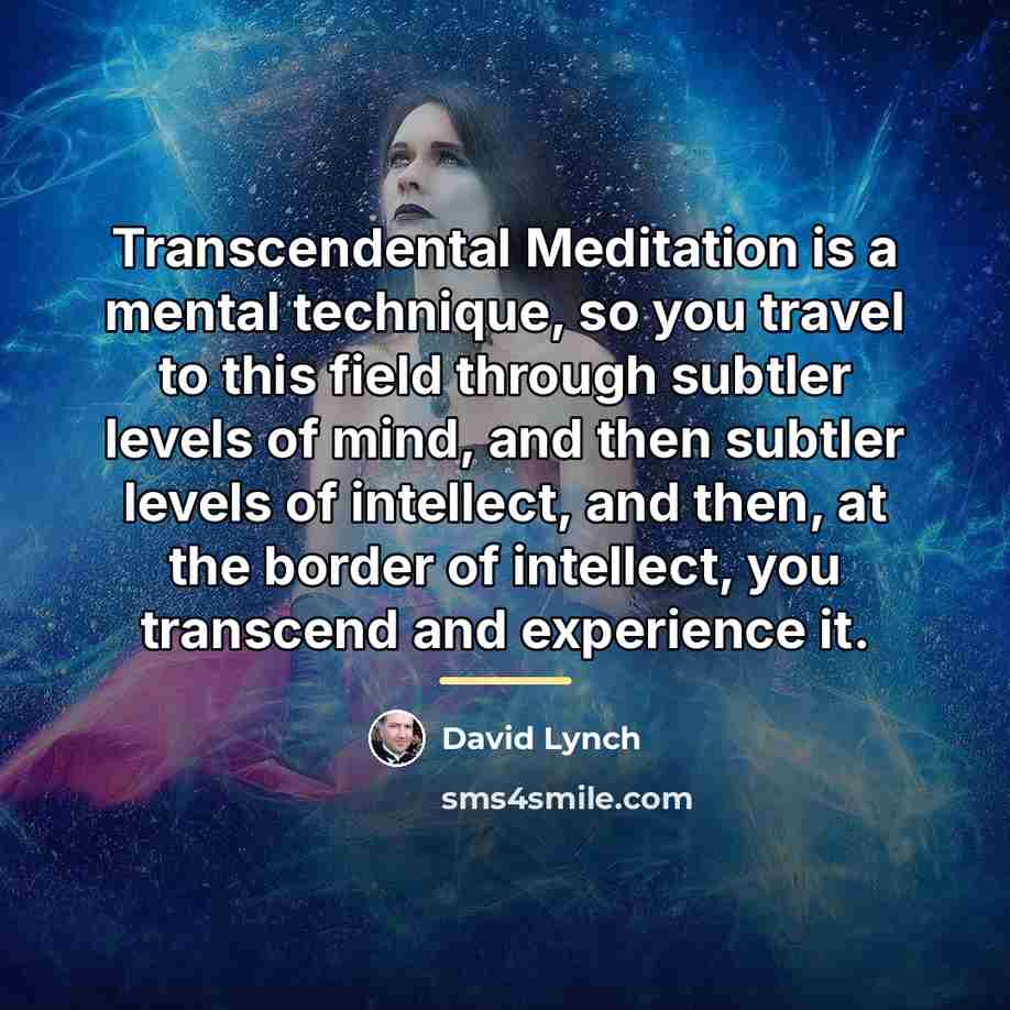 “Transcendental Meditation is a mental technique, so you travel to…” quote by David Lynch