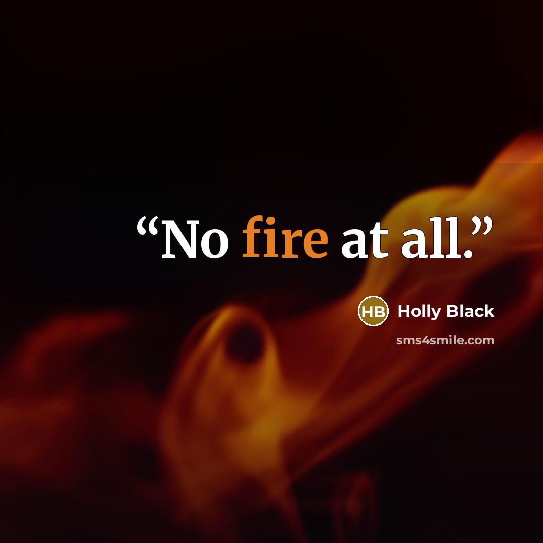 “No fire at all.” quote by Holly Black