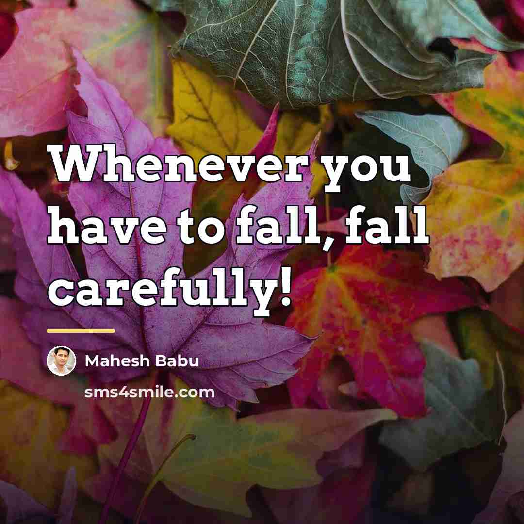 “Whenever you have to fall, fall carefully!…” quote by Mahesh Babu