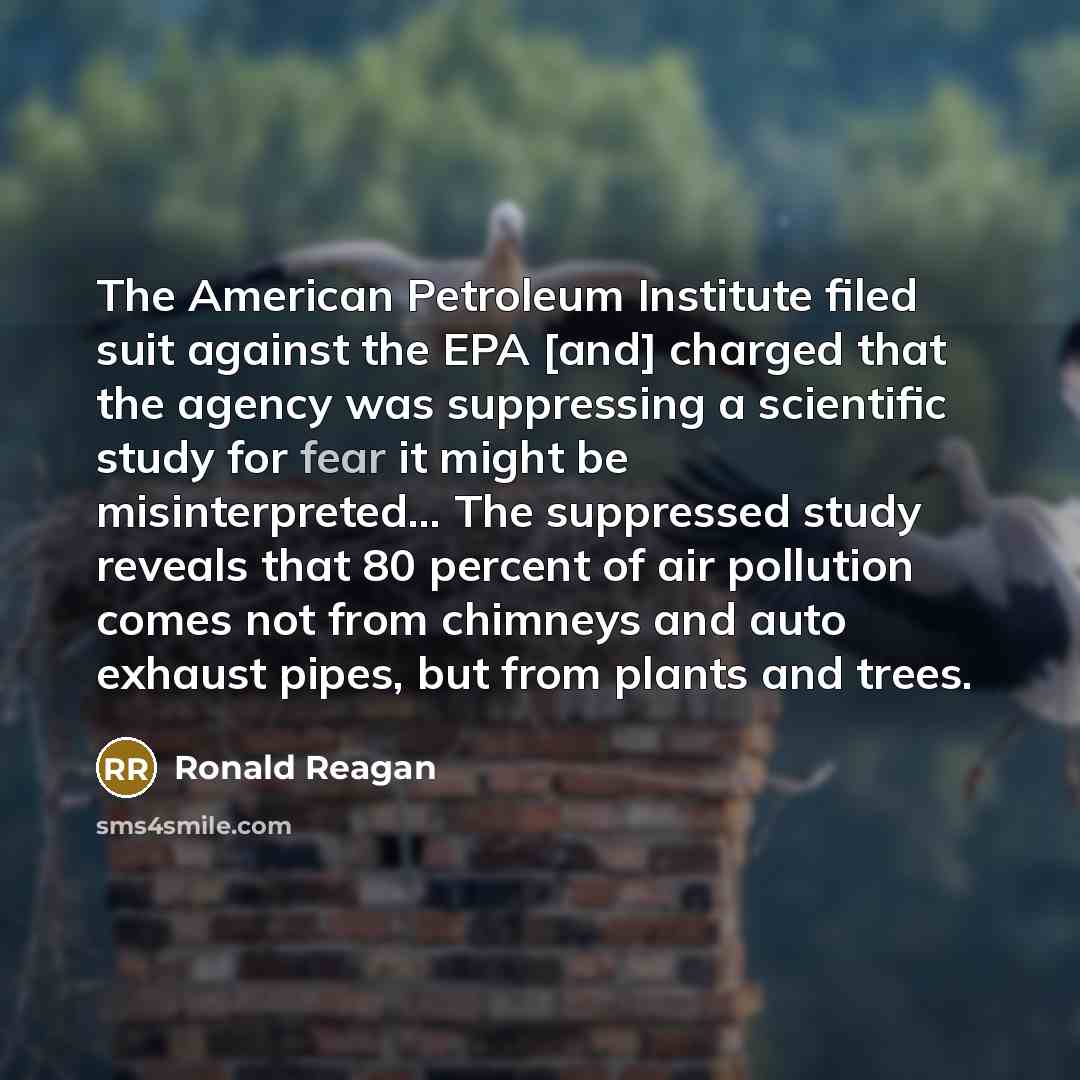 “The American Petroleum Institute filed suit against the EPA [and]…” quote by Ronald Reagan