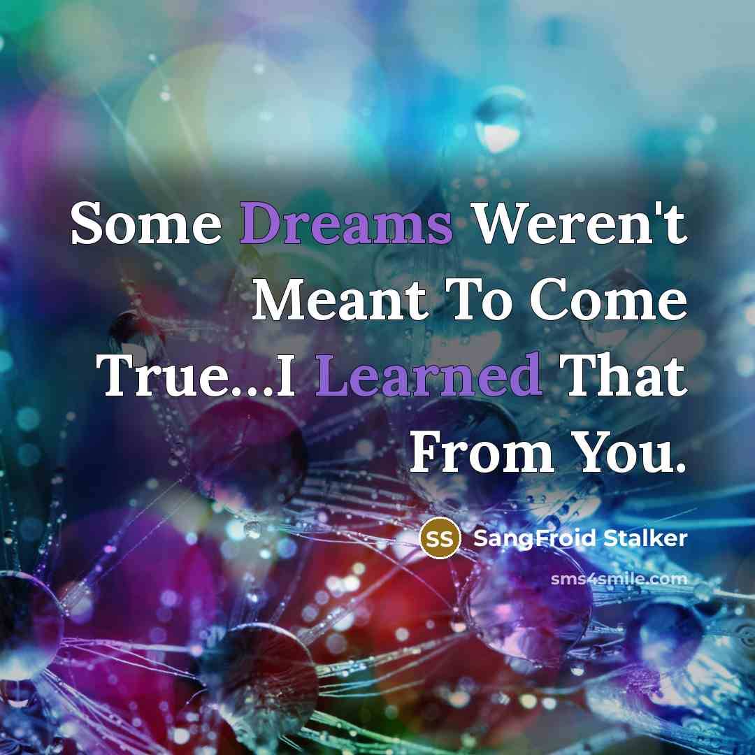“Some Dreams Weren't Meant To Come True....I Learned That From…” quote by SangFroid Stalker