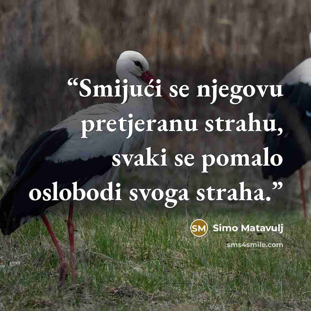 “Smijući se njegovu pretjeranu strahu, svaki se pomalo oslobodi svoga straha.” quote by Simo Matavulj