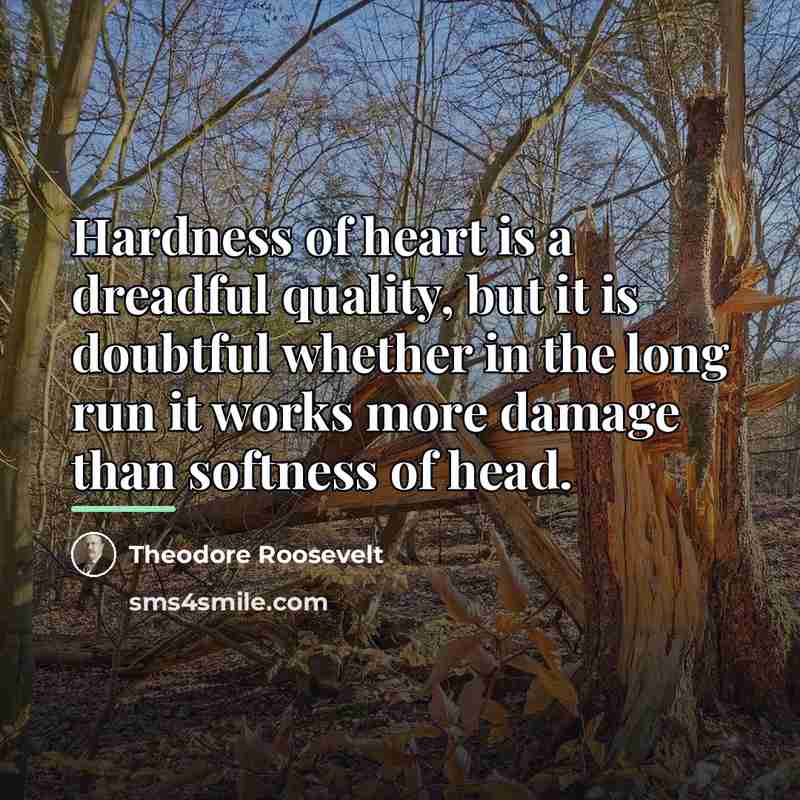 “Hardness of heart is a dreadful quality, but it is…” quote by Theodore Roosevelt