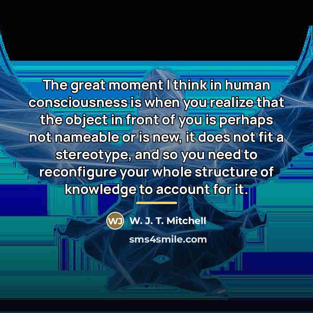 “The great moment I think in human consciousness is when…” quote by W. J. T. Mitchell