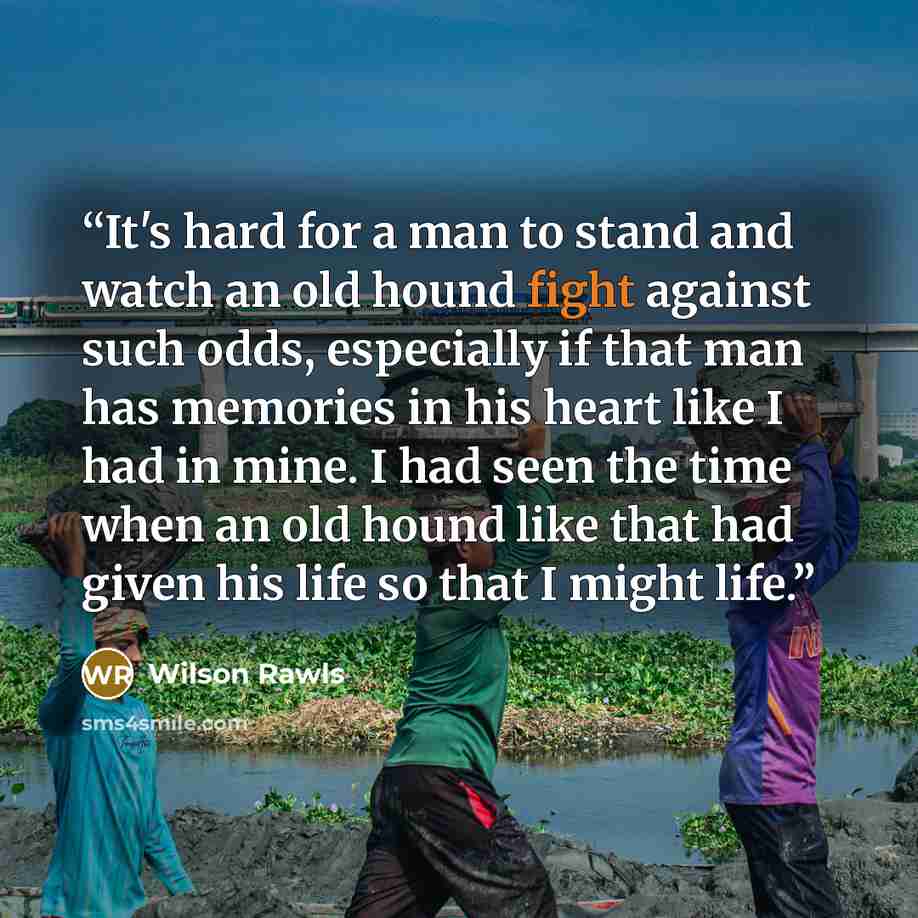 “It's hard for a man to stand and watch an old hound fight against such odds, especially if that man has memories in his heart like I had in mine. I had seen the time when an old hound like that had given his life so that I might life.” quote by Wilson Rawls