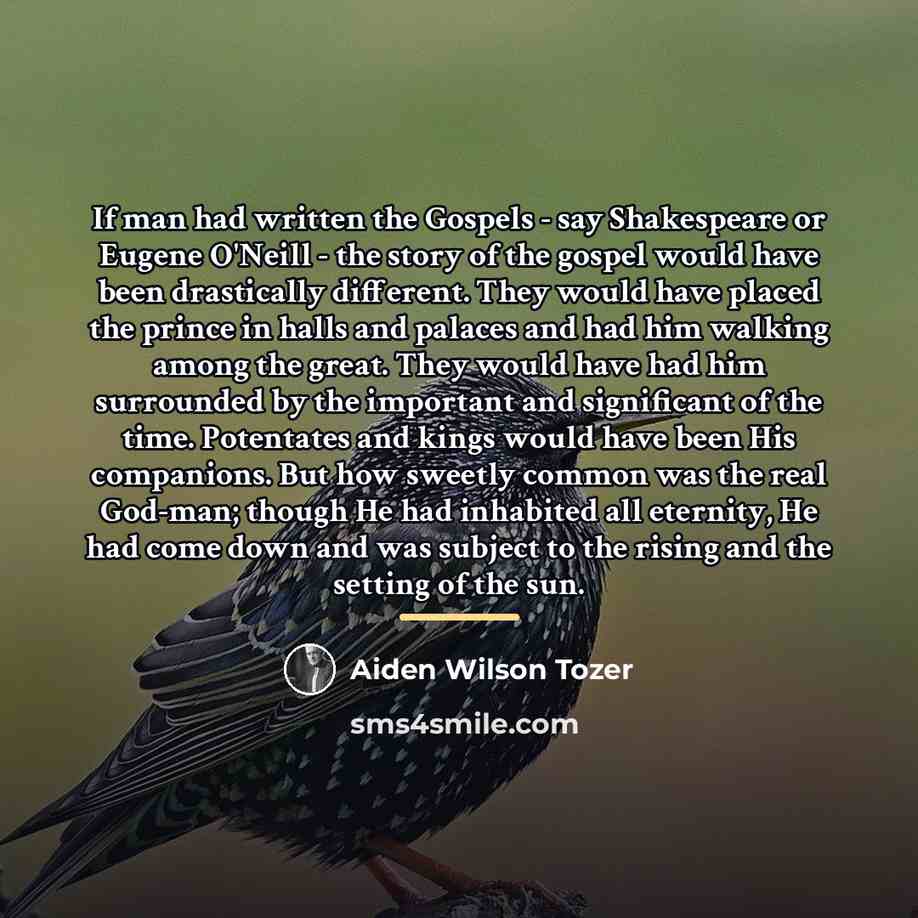 “If man had written the Gospels - say Shakespeare or…” quote by Aiden Wilson Tozer