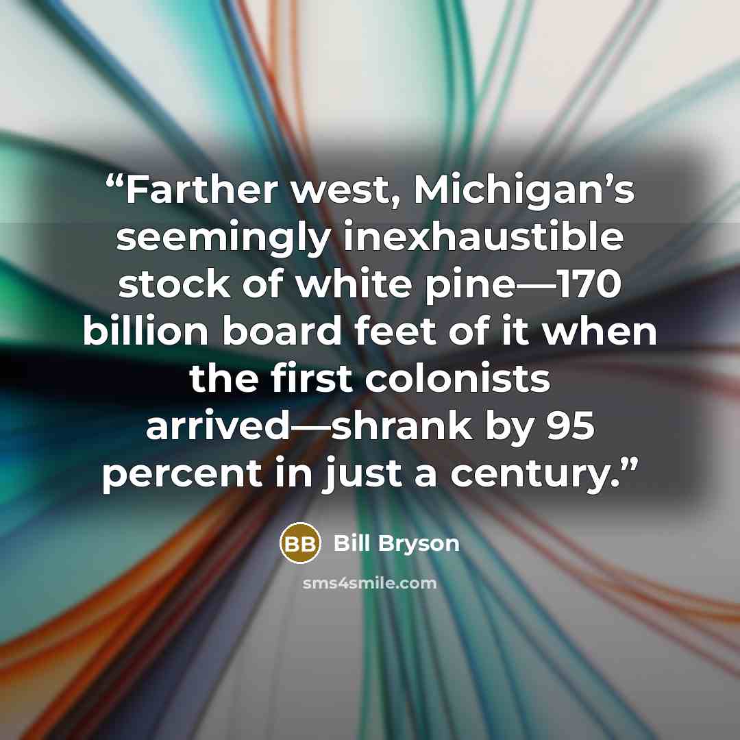 “Farther west, Michigan’s seemingly inexhaustible stock of white pine—170 billion board feet of it when the first colonists arrived—shrank by 95 percent in just a century.” quote by Bill Bryson