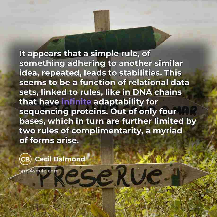 “It appears that a simple rule, of something adhering to…” quote by Cecil Balmond