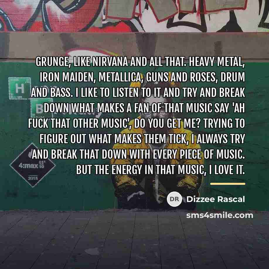 “Grunge, like Nirvana and all that. Heavy metal, Iron Maiden,…” quote by Dizzee Rascal