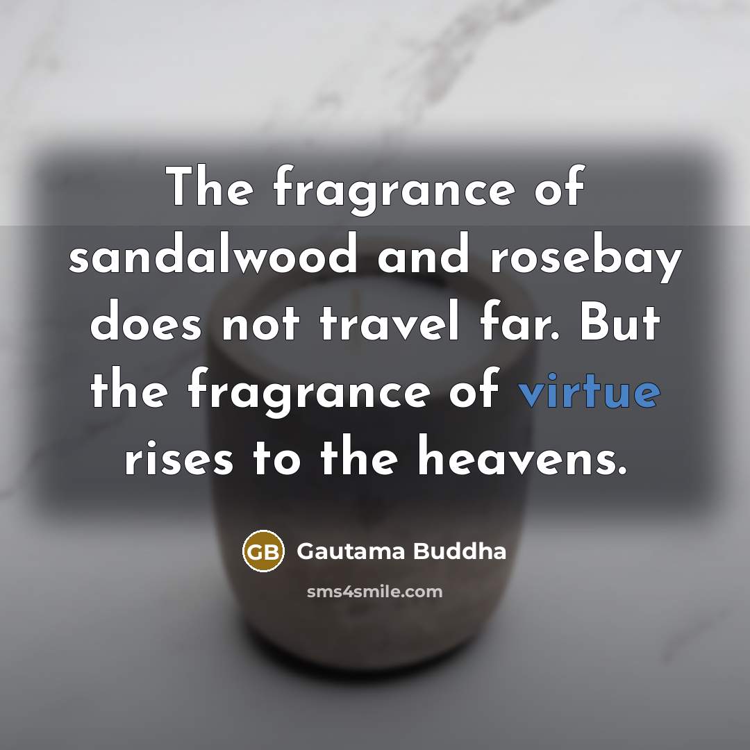 “The fragrance of sandalwood and rosebay does not travel far.…” quote by Gautama Buddha