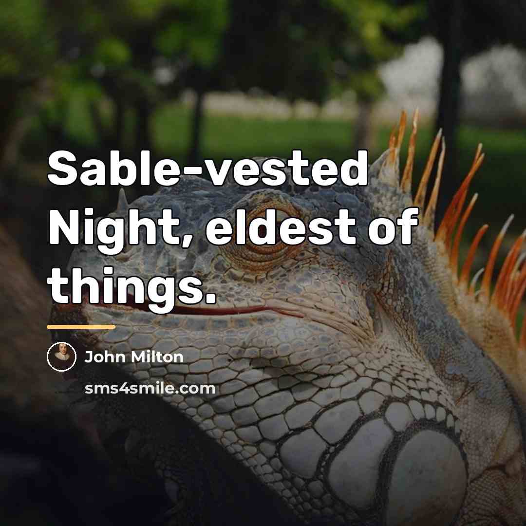 “Sable-vested Night, eldest of things.…” quote by John Milton