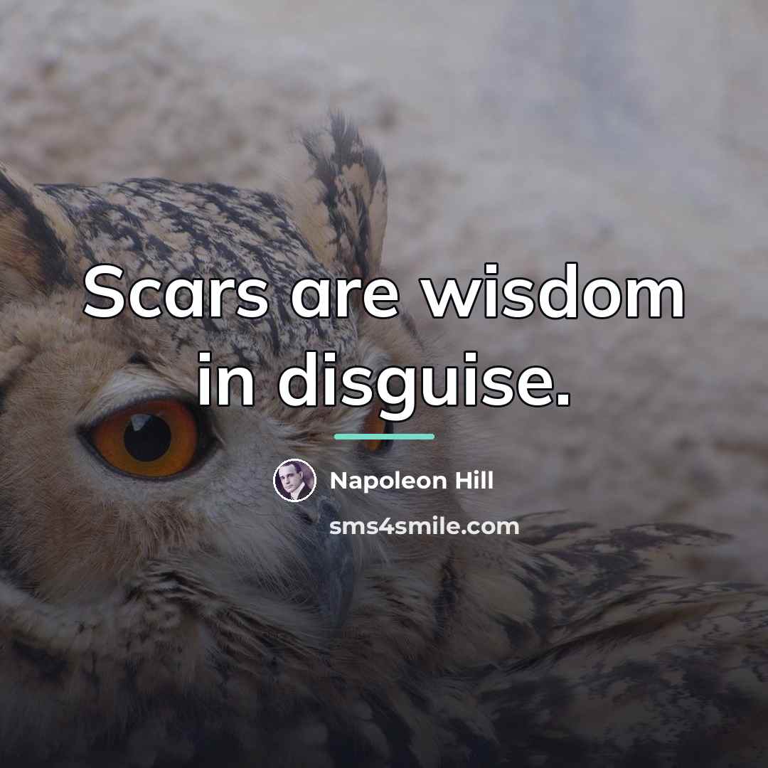 “Scars are wisdom in disguise.…” quote by Napoleon Hill