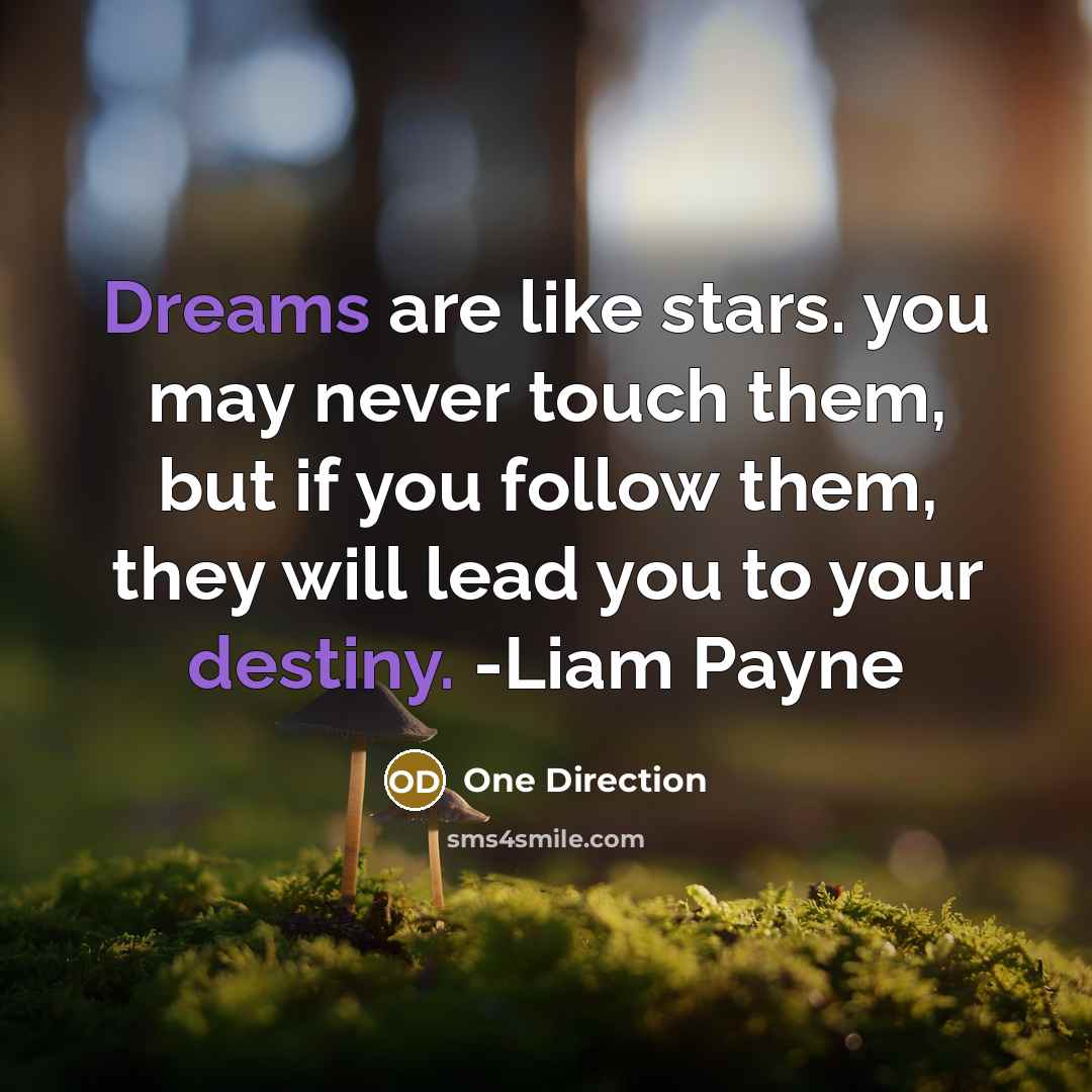 “Dreams are like stars. you may never touch them, but if you follow them, they will lead you to your destiny. -Liam Payne” quote by One Direction