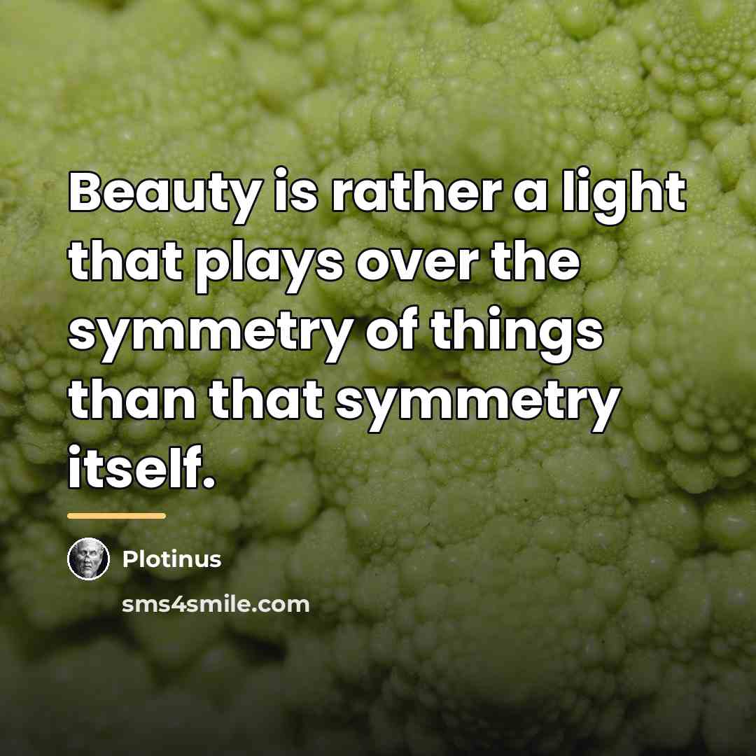 “Beauty is rather a light that plays over the symmetry…” quote by Plotinus