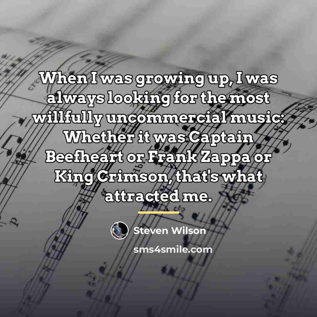 “When I was growing up, I was always looking for…” quote by Steven Wilson