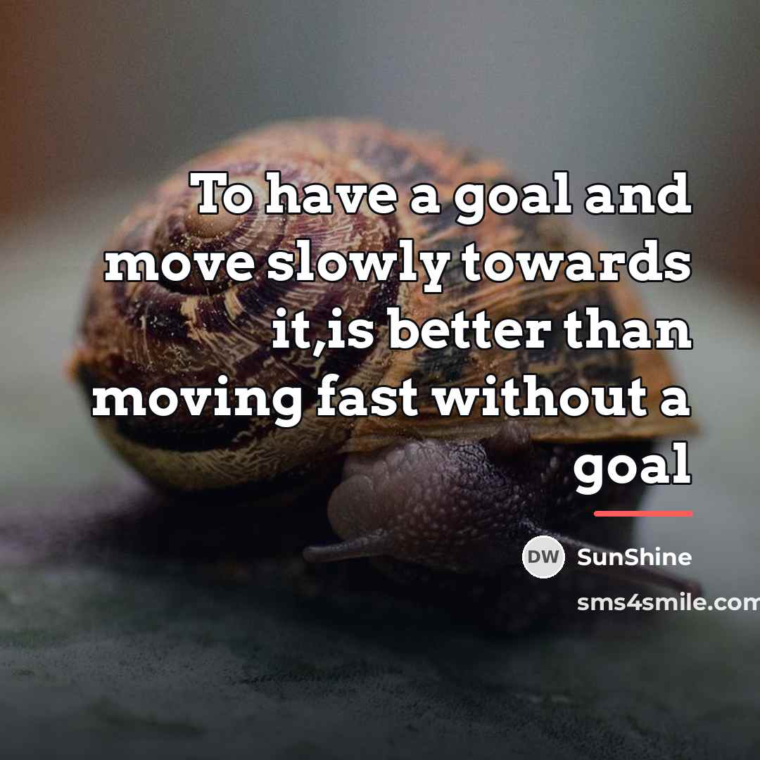 “To have a goal and move slowly towards it,is better…” quote by SunShine