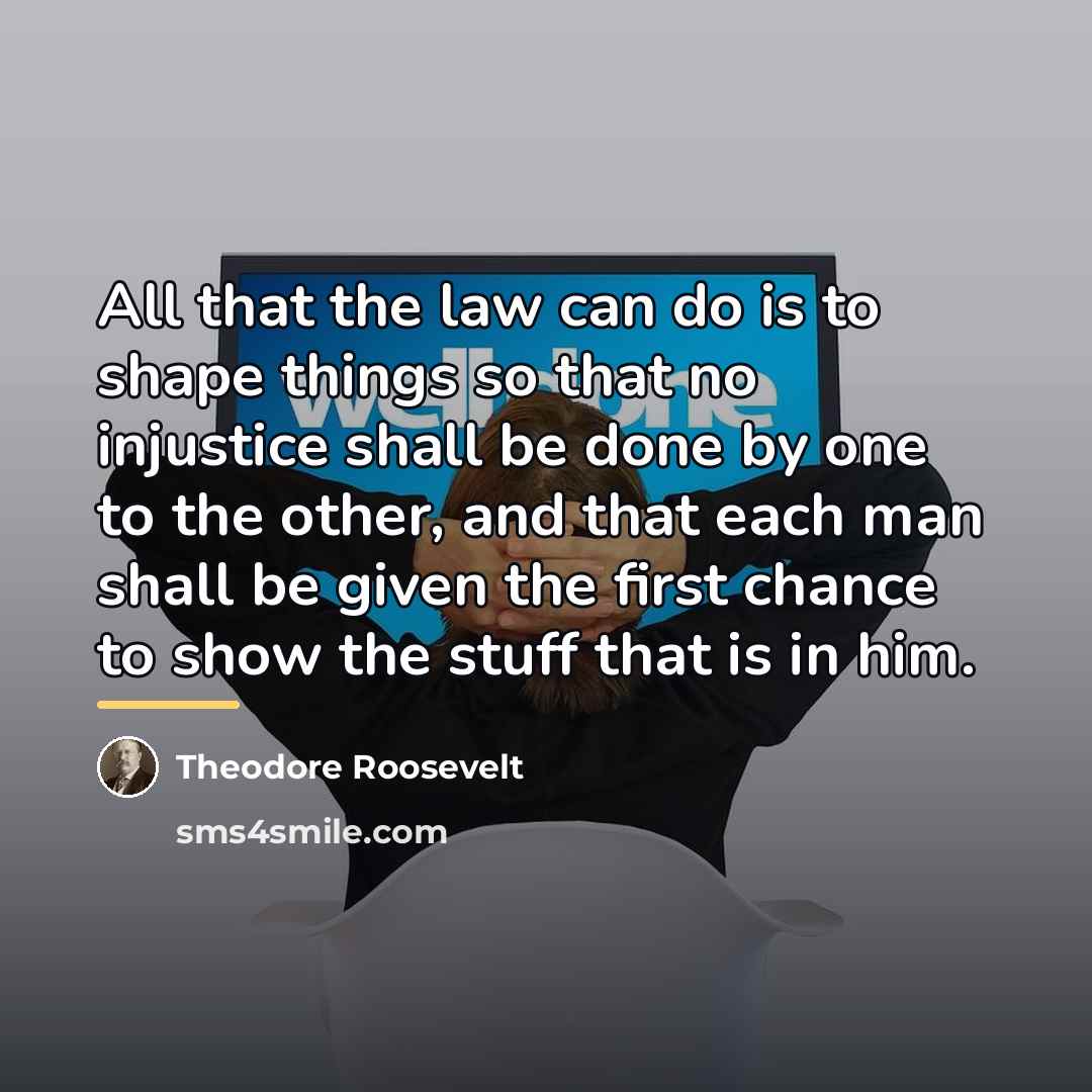 “All that the law can do is to shape things…” quote by Theodore Roosevelt