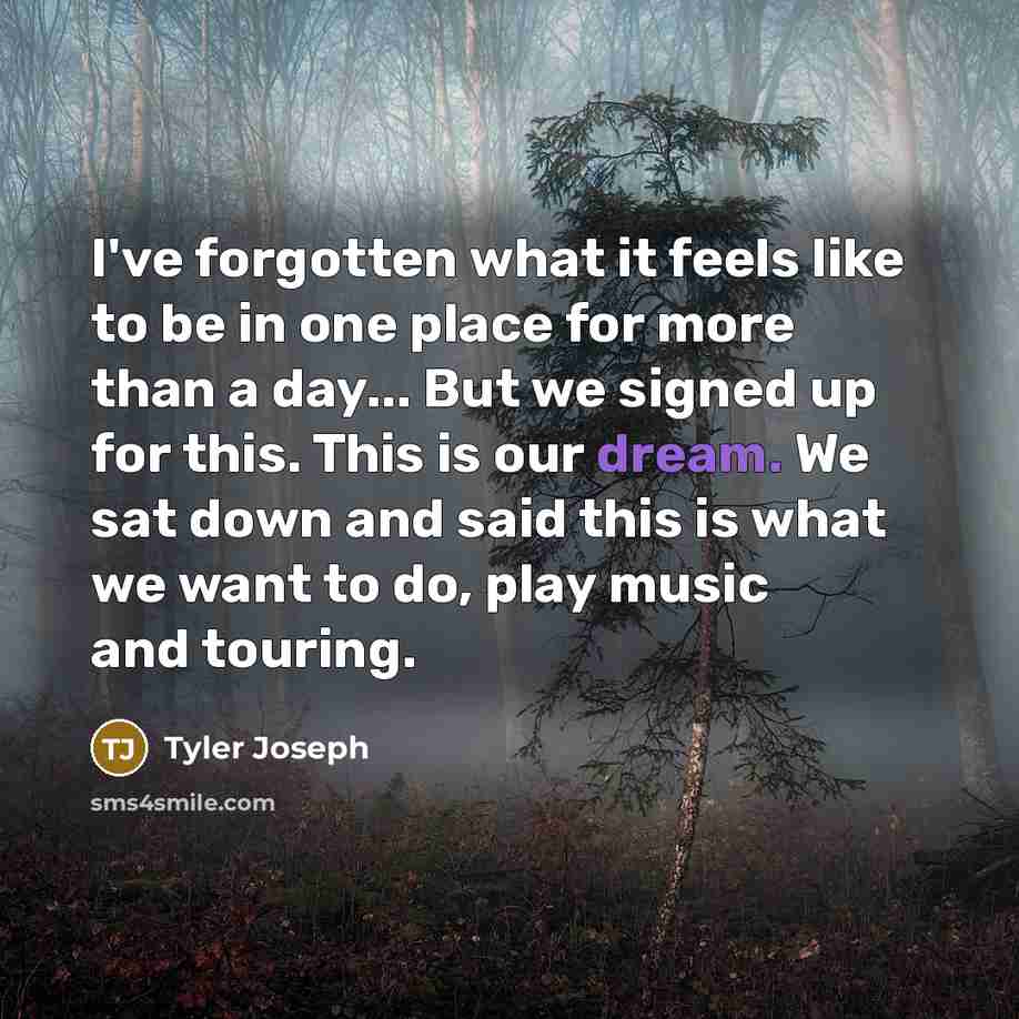 “I've forgotten what it feels like to be in one…” quote by Tyler Joseph