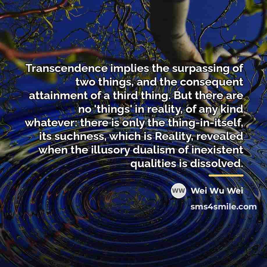 “Transcendence implies the surpassing of two things, and the consequent…” quote by Wei Wu Wei