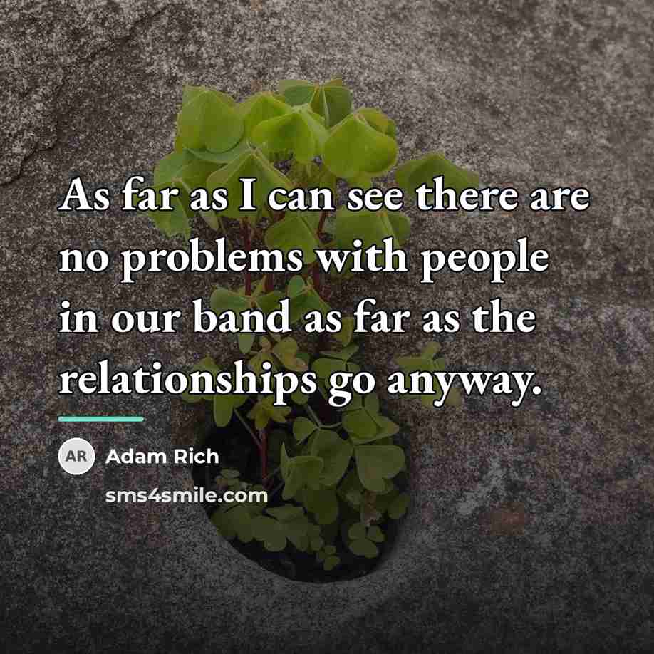 “As far as I can see there are no problems…” quote by Adam Rich