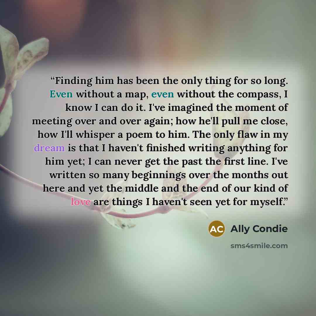 “Finding him has been the only thing for so long. Even without a map, even without the compass, I know I can do it. I've imagined the moment of meeting over and over again; how he'll pull me close, how I'll whisper a poem to him. The only flaw in my dream is that I haven't finished writing anything…” quote by Ally Condie