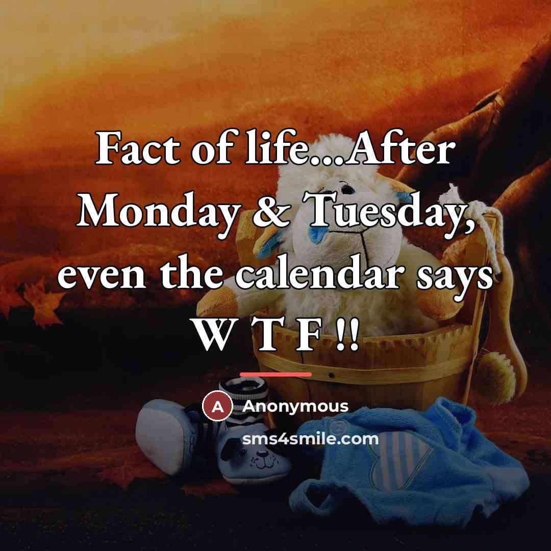 “Fact of life...After Monday & Tuesday, even the calendar says…” quote by Anonymous
