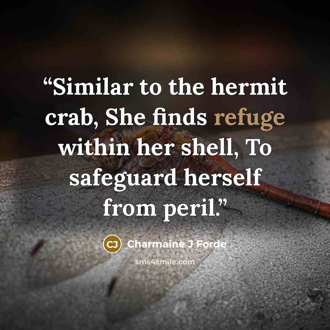 “Similar to the hermit crab, She finds refuge within her shell, To safeguard herself from peril.” quote by Charmaine J Forde