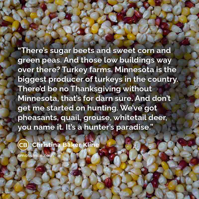 “There’s sugar beets and sweet corn and green peas. And those low buildings way over there? Turkey farms. Minnesota is the biggest producer of turkeys in the country. There’d be no Thanksgiving without Minnesota, that’s for darn sure. And don’t get me started on hunting. We’ve got pheasants, quail…” quote by Christina Baker Kline
