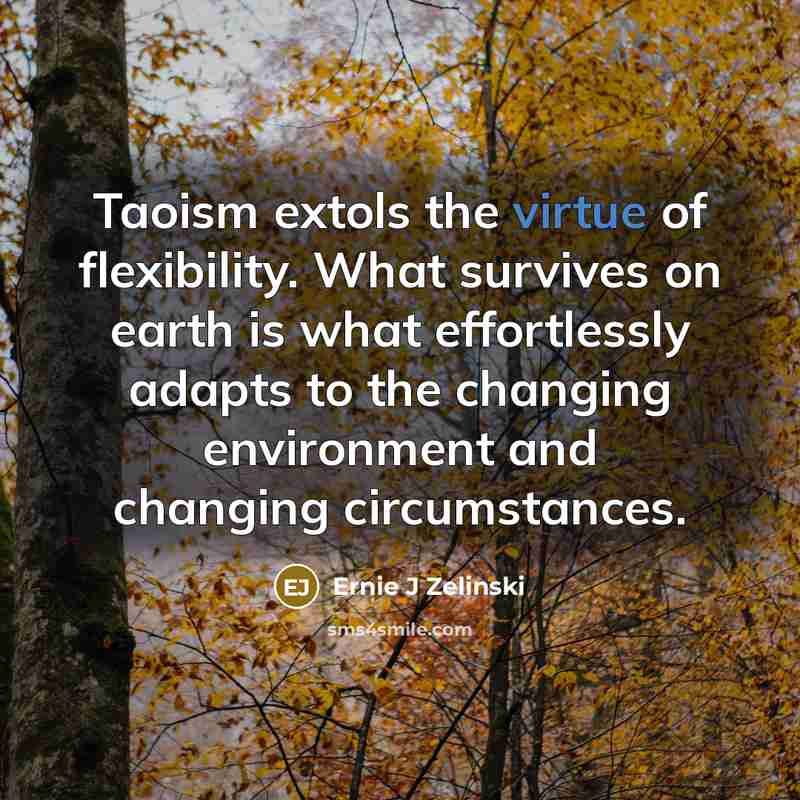 “Taoism extols the virtue of flexibility. What survives on earth…” quote by Ernie J Zelinski