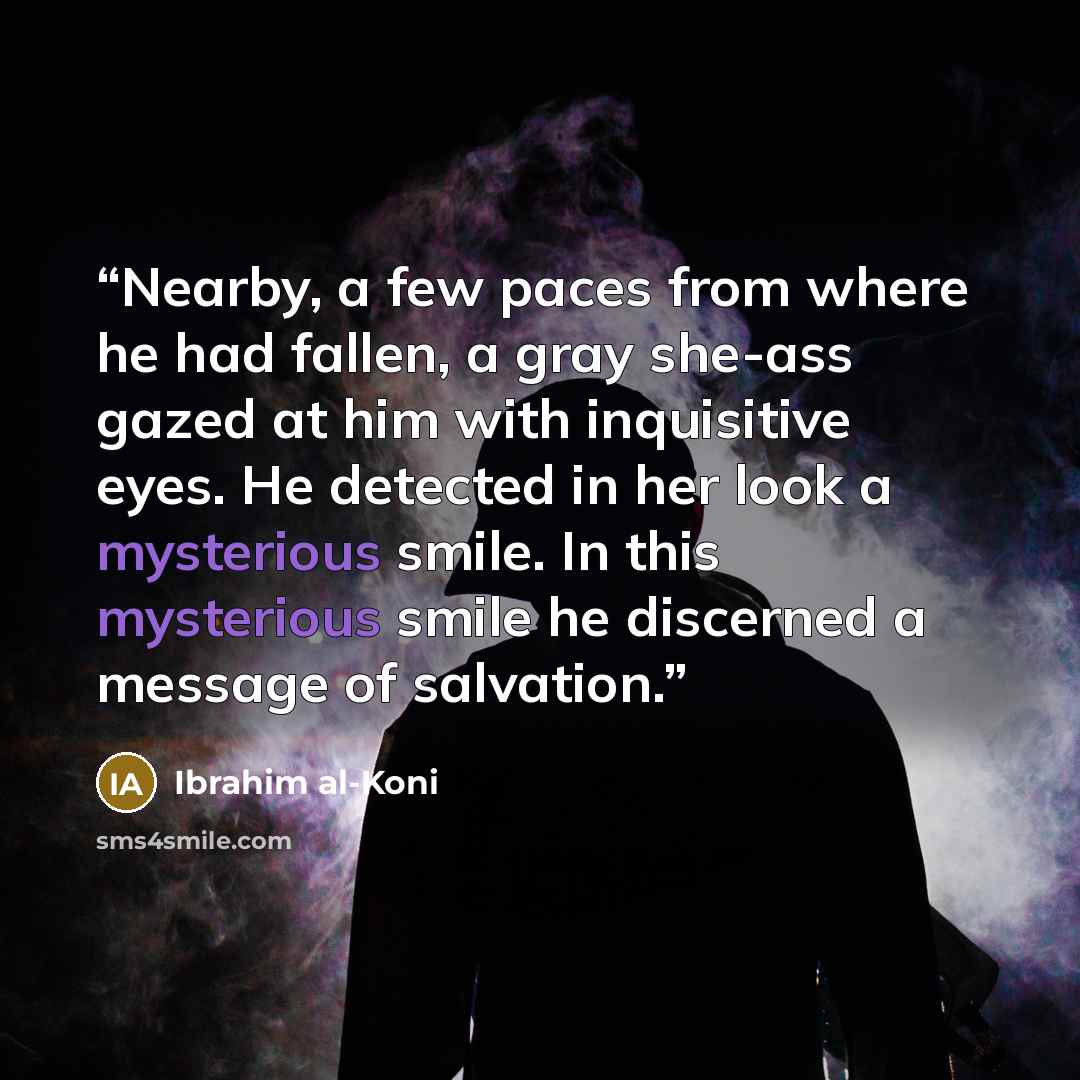“Nearby, a few paces from where he had fallen, a gray she-ass gazed at him with inquisitive eyes. He detected in her look a mysterious smile. In this mysterious smile he discerned a message of salvation.” quote by Ibrahim al-Koni