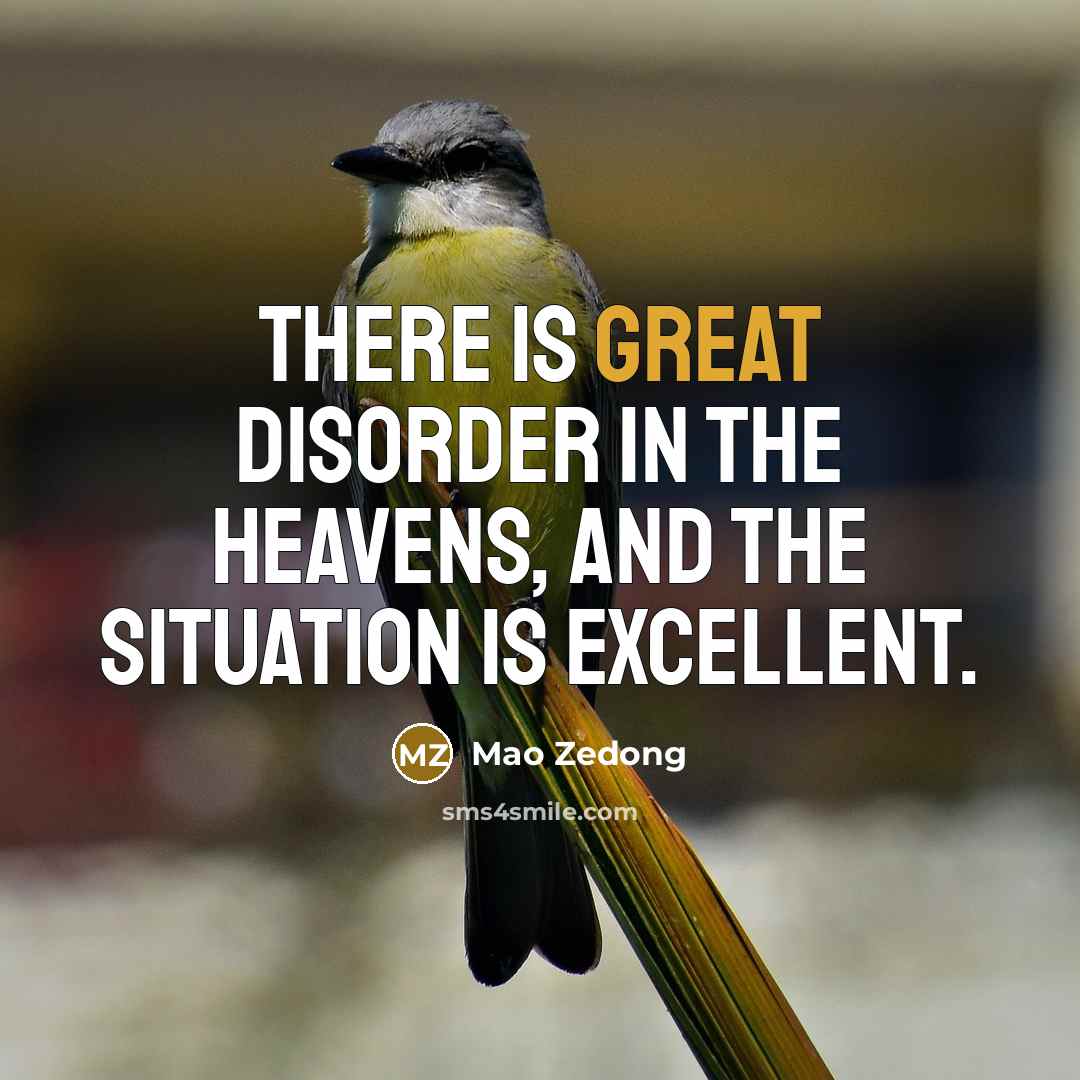 “There is great disorder in the heavens, and the situation…” quote by Mao Zedong