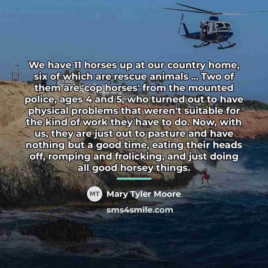 “We have 11 horses up at our country home, six…” quote by Mary Tyler Moore