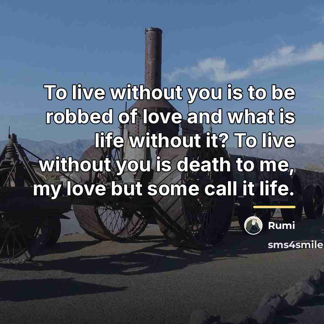 “To live without you is to be robbed of love…” quote by Rumi