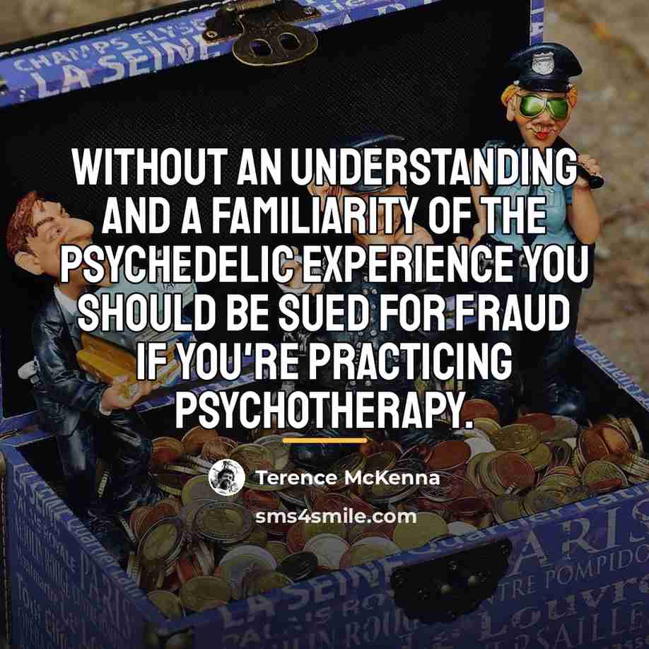 “Without an understanding and a familiarity of the psychedelic experience…” quote by Terence McKenna