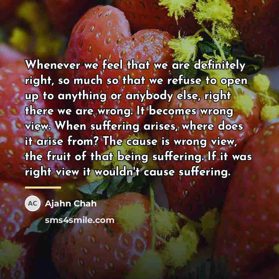 “Whenever we feel that we are definitely right, so much…” quote by Ajahn Chah