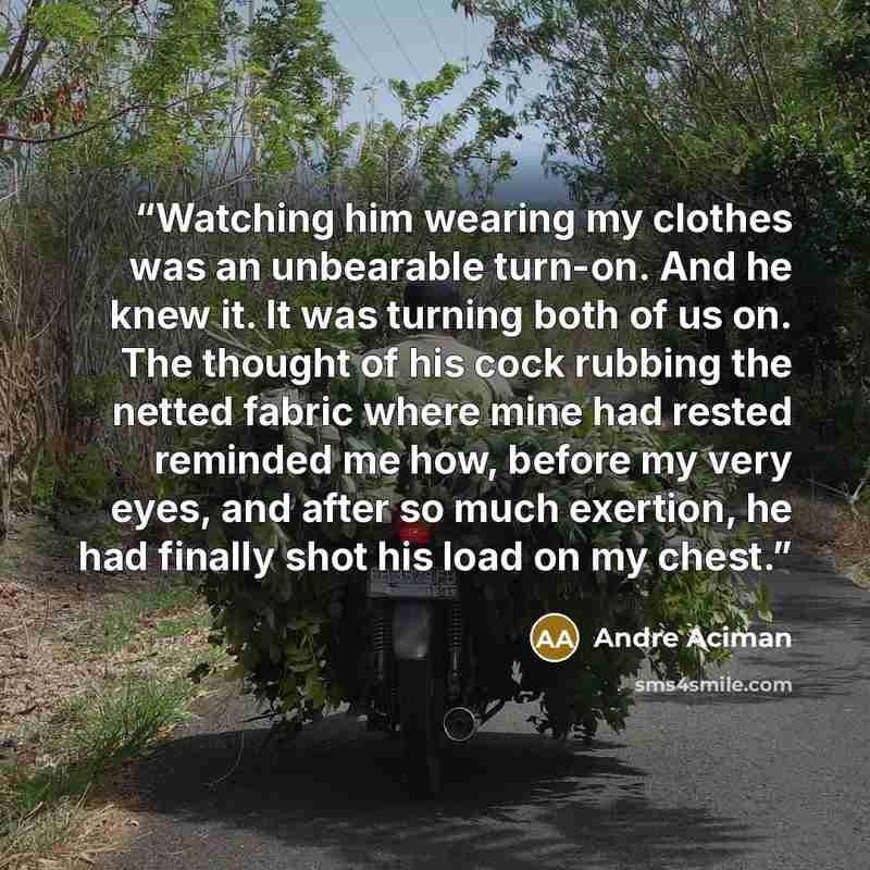 “Watching him wearing my clothes was an unbearable turn-on. And he knew it. It was turning both of us on. The thought of his cock rubbing the netted fabric where mine had rested reminded me how, before my very eyes, and after so much exertion, he had finally shot his load on my chest.” quote by André Aciman