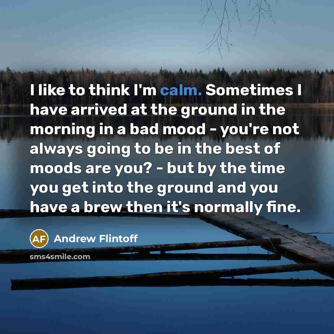 “I like to think I'm calm. Sometimes I have arrived…” quote by Andrew Flintoff