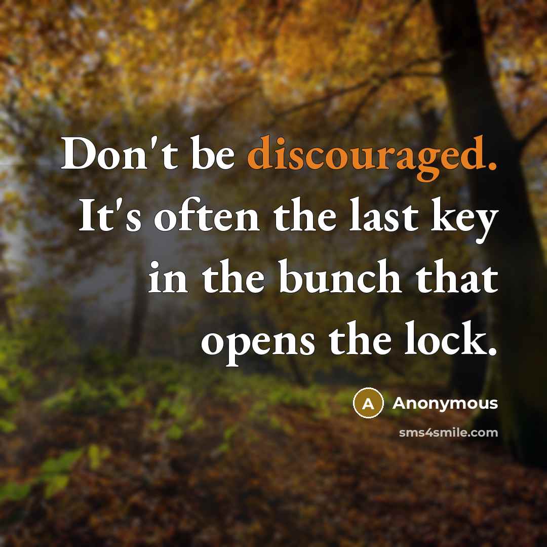 “Don't be discouraged. It's often the last key in the bunch that opens the lock.” quote by Anonymous