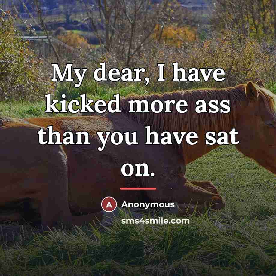 “My dear, I have kicked more ass than you have…” quote by Anonymous