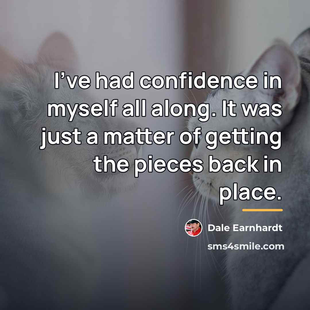 “I've had confidence in myself all along. It was just…” quote by Dale Earnhardt
