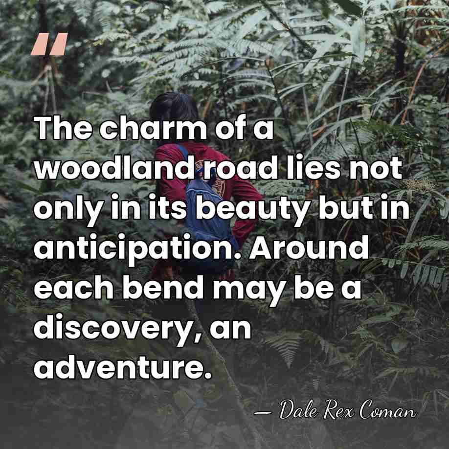 The charm of a woodland road lies not only in its beauty&hellip; - Dale Rex Coman